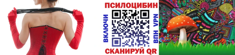 хочу наркоту  Козельск  Псилоцибиновые грибы Psilocybe 