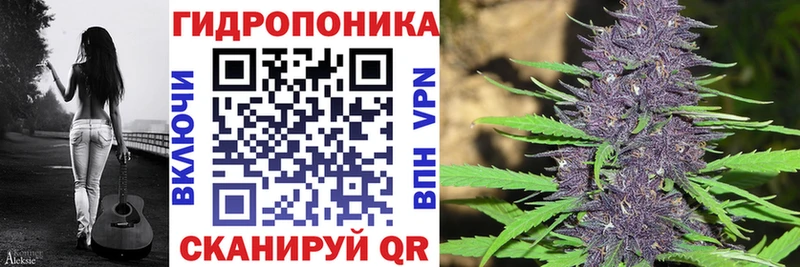 мега как войти  Козельск  Марихуана планчик 